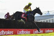 26 April 2023; Galopin Des Champs, with Paul Townend up, jumps the last on their way to finishing second in the Ladbrokes Punchestown Gold Cup during day two of the Punchestown Festival at Punchestown Racecourse in Kildare. Photo by Seb Daly/Sportsfile