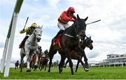 27 April 2023; Klassical Dream, with Paul Townend up, on their way to winning the Ladbrokes Champion Stayers Hurdle during day three of the Punchestown Festival at Punchestown Racecourse in Kildare. Photo by Seb Daly/Sportsfile