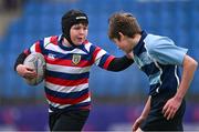 28 April 2023; Action between Templeogue and Newpark School during the Leinster Rugby South Dublin 7s Finals Day at Energia Park in Dublin. Photo by Ben McShane/Sportsfile