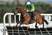 28 April 2023; Inothewayurthinkin, with Luke Dempsey up, during the Alanna Homes Champion Novice Hurdle on day four of the Punchestown Festival at Punchestown Racecourse in Kildare. Photo by Seb Daly/Sportsfile