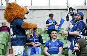 29 April 2023; Leinster mascot Leo the Lion with supporters before the Heineken Champions Cup Semi Final match between Leinster and Toulouse at the Aviva Stadium in Dublin. Photo by Brendan Moran/Sportsfile