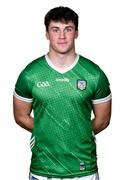 13 April 2023; Adam English poses for a portrait during a Limerick squad portrait session in Limerick. Photo by Piaras Ó Mídheach/Sportsfile