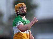 10 May 2023; Cormac Egan of Offaly celebrates after his side's victory in the oneills.com Leinster GAA Hurling U20 Championship Semi-Final match between Offaly and Dublin at Glenisk O'Connor Park in Tullamore, Offaly. Photo by Piaras Ó Mídheach/Sportsfile