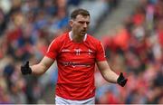 14 May 2023; Sam Mulroy of Louth during the Leinster GAA Football Senior Championship Final match between Dublin and Louth at Croke Park in Dublin. Photo by Seb Daly/Sportsfile