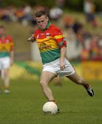 12 June 2004; Simon Rea, Carlow. Bank of Ireland Football Championship Qualifier, Round 1, Carlow v Down, Dr. Cullen Park, Carlow. Picture credit; Damien Eagers / SPORTSFILE