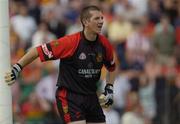 12 June 2004; Michael McVeigh, Down goalkeeper. Bank of Ireland Football Championship Qualifier, Round 1, Carlow v Down, Dr. Cullen Park, Carlow. Picture credit; Damien Eagers / SPORTSFILE