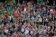 25 August 2013; Mayo supporters cheer on their side before the game. GAA Football All-Ireland Senior Championship Semi-Final, Mayo v Tyrone, Croke Park, Dublin. Picture credit: Brendan Moran / SPORTSFILE