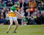 17 May 2023; Adam Screeney of Offaly shoots to score his side's first goal during the oneills.com Leinster GAA Hurling U20 Championship Final match between Offaly and Wexford at Netwatch Cullen Park in Carlow. Photo by Piaras Ó Mídheach/Sportsfile