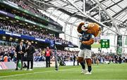 20 May 2023; Leo the Lion at half-time of the Heineken Champions Cup Final match between Leinster and La Rochelle at Aviva Stadium in Dublin. Photo by Ramsey Cardy/Sportsfile