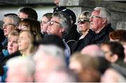 21 May 2023; Pat Spillane watches his son Pat Spillane Jnr during the GAA Football All-Ireland Senior Championship Round 1 match between Sligo and Kildare at Markievicz Park in Sligo. Photo by Ramsey Cardy/Sportsfile