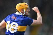 21 May 2023; Séamus Callanan of Tipperary celebrates after scoring a late second half point during the Munster GAA Hurling Senior Championship Round 4 match between Tipperary and Limerick at FBD Semple Stadium in Thurles, Tipperary. Photo by Piaras Ó Mídheach/Sportsfile