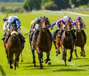 27 May 2023; Paddington, centre, with Ryan Moore up, on the way to winning Tattersalls Irish 2000 Guineas G1 during the Tattersalls Irish Guineas Festival at The Curragh Racecourse in Kildare. Photo by Matt Browne/Sportsfile