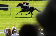 28 May 2023; Just Beautiful, with Billy Lee up, on their way to winning the Lanwades Stud Stakes during the Tattersalls Irish Guineas Festival at The Curragh Racecourse in Kildare. Photo by David Fitzgerald/Sportsfile