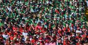 28 May 2023; A general view of supporters before the Munster GAA Hurling Senior Championship Round 5 match between Limerick and Cork at TUS Gaelic Grounds in Limerick. Photo by Ray McManus/Sportsfile