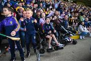 28 May 2023; Wexford supporters celebrate a late score during the Leinster GAA Hurling Senior Championship Round 5 match between Wexford and Kilkenny at Chadwicks Wexford Park in Wexford. Photo by Eóin Noonan/Sportsfile