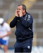 28 May 2023; Waterford manager Davy Fitzgerald during the Munster GAA Hurling Senior Championship Round 5 match between Tipperary and Waterford at FBD Semple Stadium in Thurles, Tipperary. Photo by Michael P Ryan/Sportsfile