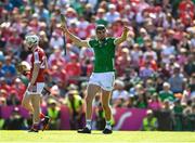 28 May 2023; Diarmaid Byrnes of Limerick celebrates after the Munster GAA Hurling Senior Championship Round 5 match between Limerick and Cork at TUS Gaelic Grounds in Limerick. Photo by Daire Brennan/Sportsfile