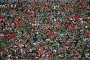 28 May 2023; Limerick supporters celebrate a score during the Munster GAA Hurling Senior Championship Round 5 match between Limerick and Cork at TUS Gaelic Grounds in Limerick. Photo by Ray McManus/Sportsfile