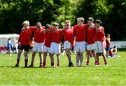 30 May 2023; Action during the Leinster Rugby kids blitz at Ardee RFC in Louth. Photo by Tyler Miller/Sportsfile