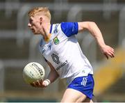 4 June 2023; Mark Kenny of Wicklow during the Tailteann Cup Group 3 Round 3 match between Limerick and Wicklow at Laois Hire O'Moore Park in Portlaoise, Laois. Photo by Matt Browne/Sportsfile