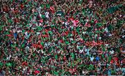 28 May 2023; Limerick supporters celebrate a first half score during the Munster GAA Hurling Senior Championship Round 5 match between Limerick and Cork at TUS Gaelic Grounds in Limerick. Photo by Ray McManus/Sportsfile
