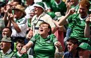 11 June 2023; A Limerick supporter celebrates a goal scored by Aaron Gillane of Limerick during the Munster GAA Hurling Championship Final match between Clare and Limerick at TUS Gaelic Grounds in Limerick. Photo by Eóin Noonan/Sportsfile