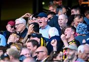 11 June 2023; Former Kilkenny manager Brian Cody celebrates after the Leinster GAA Hurling GAA Championship Final match between Kilkenny and Galway at Croke Park in Dublin. Photo by Piaras Ó Mídheach/Sportsfile