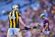 11 June 2023; TJ Reid of Kilkenny prepares to take a free during the Leinster GAA Hurling Senior Championship Final match between Kilkenny and Galway at Croke Park in Dublin.  Photo by Piaras Ó Mídheach/Sportsfile
