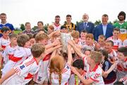 13 June 2023; At the 2023 GAA Hurling All-Ireland Series national launch at De La Salle GAA Club in Waterford are Cathal O’Neill of Limerick, Noel McGrath of Tipperary, Brian Tracey of Carlow, Richie Reid of Kilkenny, Uachtarán Chumann Lúthchleas Gael Larry McCarthy, De La Salle club chairman Don Lalor, Ben Connelly of Offaly, Adam Hogan of Clare, Seán Brennan of Dublin, Padraic Mannion of Galway and members of the De La Salle GAA Club 9 to 10 year old players holding the Liam MacCarthy Cup aloft. Photo by Ray McManus/Sportsfile