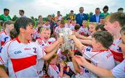 13 June 2023; At the 2023 GAA Hurling All-Ireland Series national launch at De La Salle GAA Club in Waterford are Cathal O’Neill of Limerick, Noel McGrath of Tipperary, Brian Tracey of Carlow, Richie Reid of Kilkenny, Uachtarán Chumann Lúthchleas Gael Larry McCarthy, De La Salle club chairman Don Lalor, Ben Connelly of Offaly, Adam Hogan of Clare, Seán Brennan of Dublin, Padraic Mannion of Galway and members of the De La Salle GAA Club 9 to 10 year old players holding the Liam MacCarthy Cup aloft. Photo by Ray McManus/Sportsfile