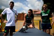 19 June 2023; Phil Healy of Ireland, centre, alongside team physios Declan Monaghan and Liz Melvin look on as a bird refuses to leave the physio table during a practice session at Henryk Jordana Park ahead of the European Games 2023 in Krakow, Poland. Photo by David Fitzgerald/Sportsfile
