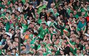 19 June 2023; Republic of Ireland supporters celebrate their side's first goal scored by Mikey Johnston during the UEFA EURO 2024 Championship qualifying group B match between Republic of Ireland and Gibraltar at the Aviva Stadium in Dublin. Photo by Michael P Ryan/Sportsfile