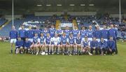 19 June 2004; The Laois Squad. Guinness All-Ireland Hurling Championship Qualifier, Laois v Westmeath, O'Moore Park, Portlaoise, Co. Laois. Picture credit; Damien Eagers / SPORTSFILE