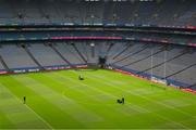 1 July 2023; Members of the Croke Park staff prepare the pitch is advance of  the GAA Football All-Ireland Senior Championship quarter-final match between Armagh and Monaghan at Croke Park in Dublin. Photo by Ray McManus/Sportsfile