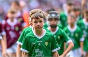 8 July 2023; Emmett McCloskey, St Canice PS & NU Dungiven, Derry, representing Limerick, during the GAA INTO Cumann na mBunscol Respect Exhibition Go Games at the GAA Hurling All-Ireland Senior Championship semi-final match between Limerick and Galway at Croke Park in Dublin. Photo by Ramsey Cardy/Sportsfile