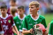 8 July 2023; Joe Byrne, St Mary's NS, Ballygunner, Waterford, representing Limerick, during the GAA INTO Cumann na mBunscol Respect Exhibition Go Games at the GAA Hurling All-Ireland Senior Championship semi-final match between Limerick and Galway at Croke Park in Dublin. Photo by Ramsey Cardy/Sportsfile