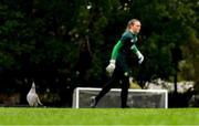 15 July 2023; A crested pigeon looks on as goalkeeper Megan Walsh takes part in a Republic of Ireland training session at Meakin Park in Brisbane, Australia, ahead of the start of the FIFA Women's World Cup 2023. Photo by Stephen McCarthy/Sportsfile