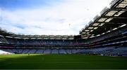 9 July 2023; Gulls decend on Croke Park after the GAA Hurling All-Ireland Senior Championship semi-final match between Kilkenny and Clare at Croke Park in Dublin. Photo by Ray McManus/Sportsfile