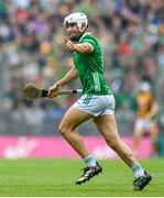 23 July 2023; Aaron Gillane of Limerick celebrates a score to level the game during the GAA Hurling All-Ireland Senior Championship final match between Kilkenny and Limerick at Croke Park in Dublin. Photo by Sam Barnes/Sportsfile
