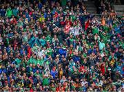 23 July 2023; Limerick supporters, in the Davin Stand, celebrate their side's 20th point during the GAA Hurling All-Ireland Senior Championship final match between Kilkenny and Limerick at Croke Park in Dublin. Photo by Ray McManus/Sportsfile