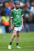 23 July 2023; Paddy Ketterick, Brackloon NS, Westport, Mayo, representing Limerick, during the INTO Cumann na mBunscol GAA Respect Exhibition Go Games at the GAA Hurling All-Ireland Senior Championship final match between Kilkenny and Limerick at Croke Park in Dublin. Photo by Piaras Ó Mídheach/Sportsfile
