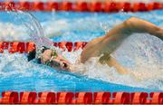 30 July 2023; Daniel Wiffen of Ireland competes in the Men’s 1500m Freestyle final during day seventeen of the 2023 World Aquatics Championships at Marine Messe Fukuoka Hall A in Fukuoka, Japan. Photo by Ian MacNicol/Sportsfile