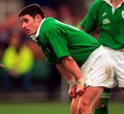 18 January 1997; Brian O'Meara of Ireland during the Five Nations Rugby Championship match between Ireland and France at Lansdowne Road in Dublin. Photo by Brendan Moran/Sportsfile