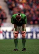 7 March 1998; David Corkery of Ireland reacts at the final whistle of the Five Nations Rugby Championship match between France and Ireland at the Stade De France in Paris, France. Photo by Brendan Moran/Sportsfile