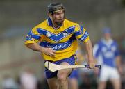 26 June 2004; David Forde, Clare. Guinness Senior Hurling Championship Qualifier, Round 1, Clare v Laois, Gaelic Grounds, Limerick. Picture credit; Ray McManus / SPORTSFILE