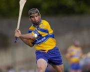 26 June 2004; David Forde, Clare. Guinness Senior Hurling Championship Qualifier, Round 1, Clare v Laois, Gaelic Grounds, Limerick. Picture credit; Ray McManus / SPORTSFILE