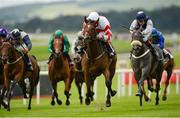 1 September 2013; Levanto, with Johnny Murtagh up, on their way to winning the Irish Stallion Farms European Breeders Fund 'Be My Guest' Fillies Handicap. Curragh Racecourse, The Curragh, Co. Kildare. Picture credit: Matt Browne / SPORTSFILE