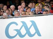 1 September 2013; Leinster's Leo Cullen watches on ahead of the game. GAA Football All-Ireland Senior Championship, Semi-Final, Dublin v Kerry, Croke Park, Dublin. Picture credit: Stephen McCarthy / SPORTSFILE