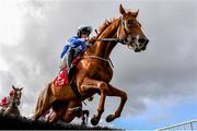31 July 2023; Dark Note, with Cian Quirke up, jump the third in the Galwaybayhotel.com & Galmont.com Novice Hurdle during day one of the Galway Races Summer Festival at Ballybrit Racecourse in Galway. Photo by David Fitzgerald/Sportsfile