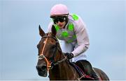 1 August 2023; Sharjah, with Paul Townend up, on their way to winning the Latin Quarter Beginners Steeplechase during day two of the Galway Races Summer Festival 2023 at Galway Racecourse in Ballybrit, Galway. Photo by David Fitzgerald/Sportsfile